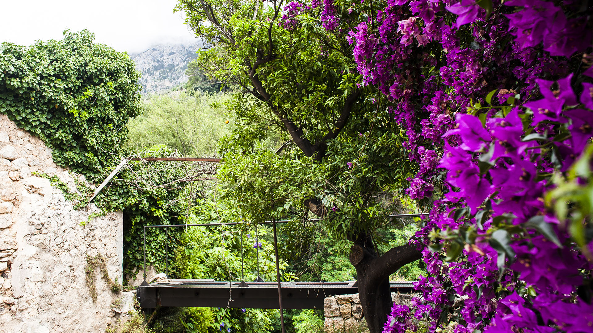 Dichtes Grün und Blütenpracht prägen Fornalutx auf Mallorca.