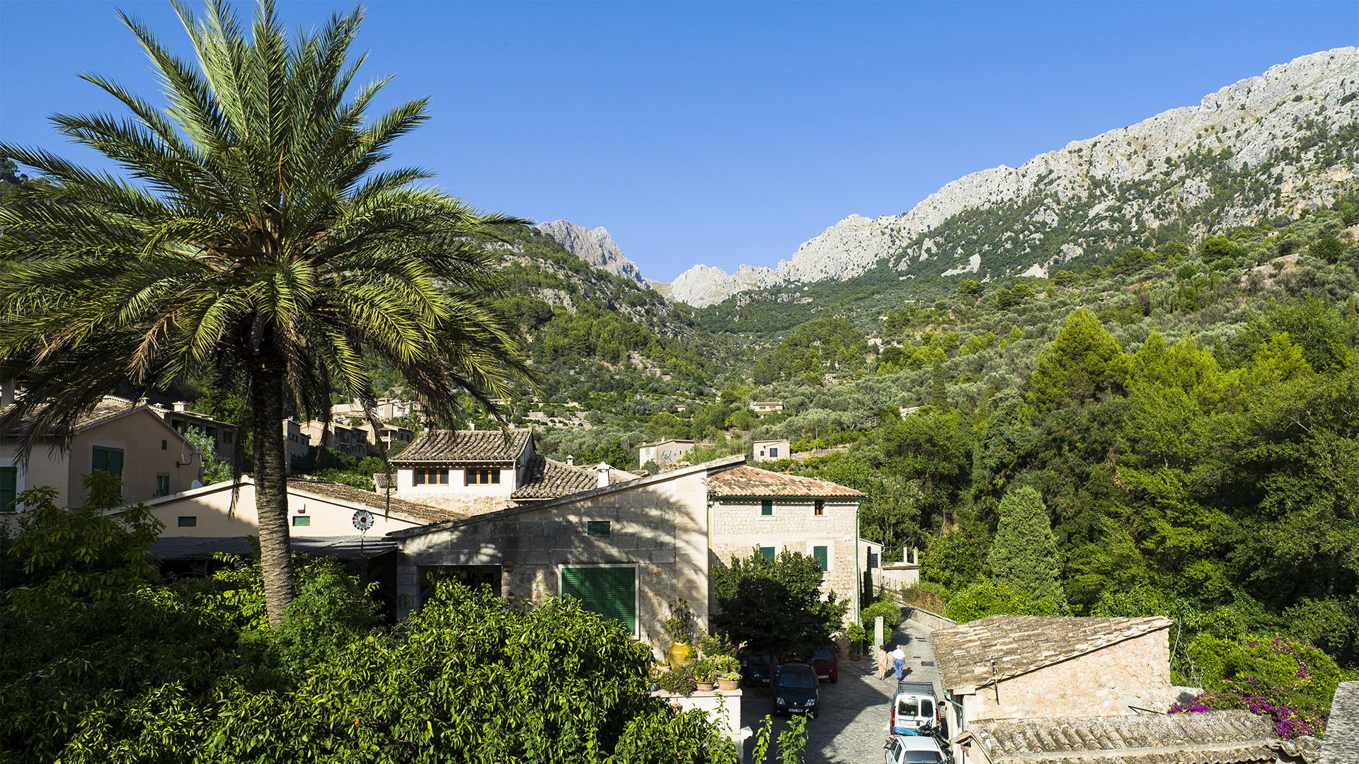 Hinter Fornalutx, Mallorca erhebt sich das Tramuntana Gebirge.