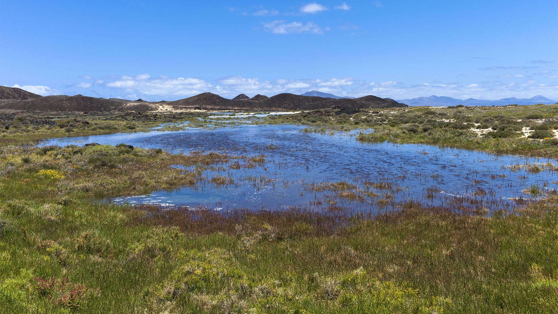Die Salzwiesen der Tres Hermanas und Las Lagunitas auf der Isla de Lobos Fuerteventura.