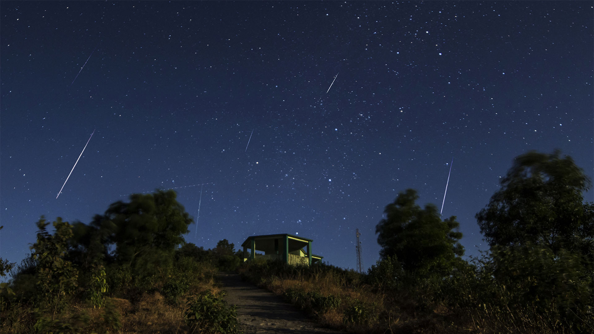 Geminiden Meteoritenschauer (Asim Patel)