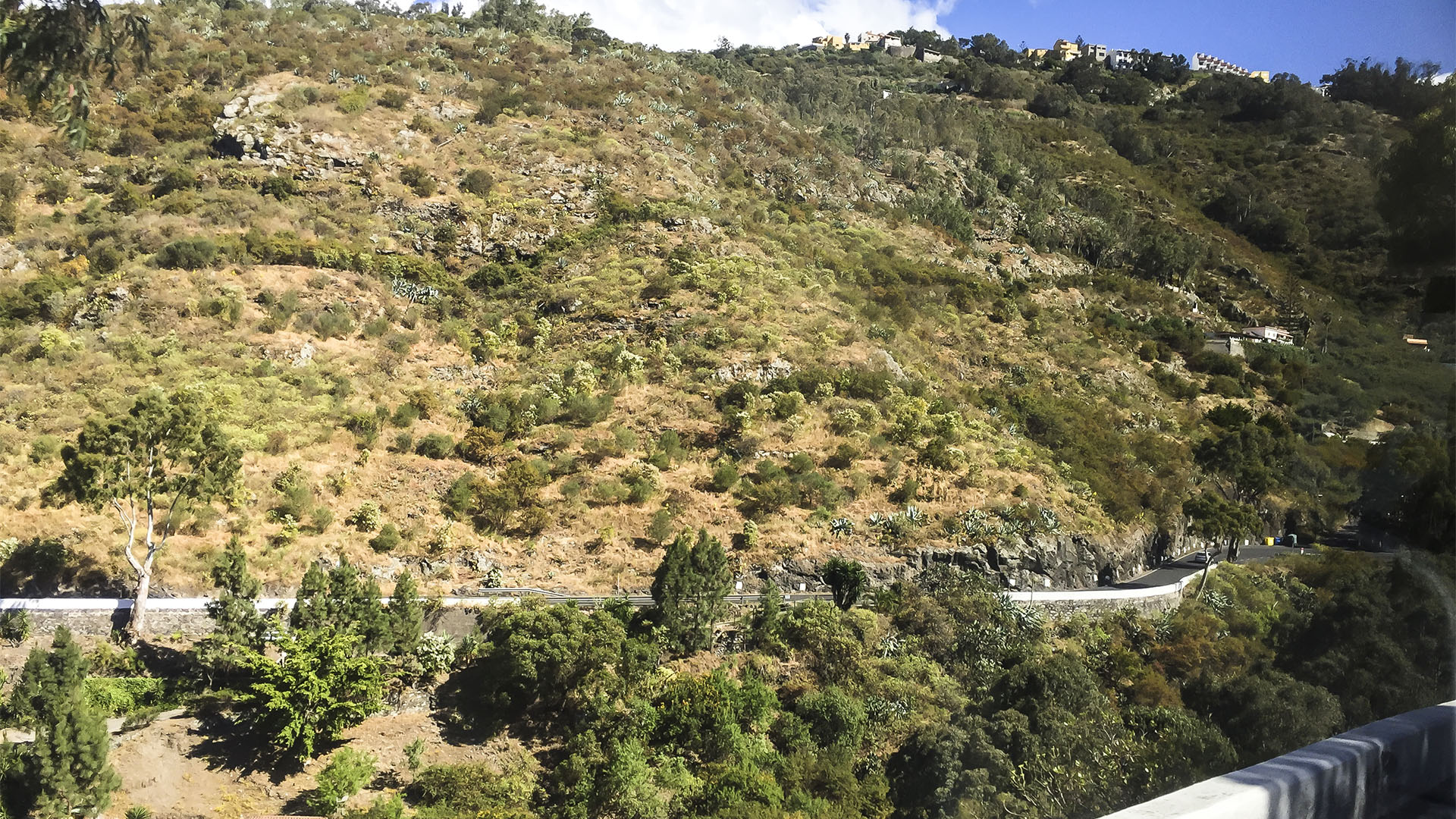 Die atemberaubende Bergstrasse nach Teror – wer nicht selber fahren muss kann die Landschaft und Strasse geniessen.