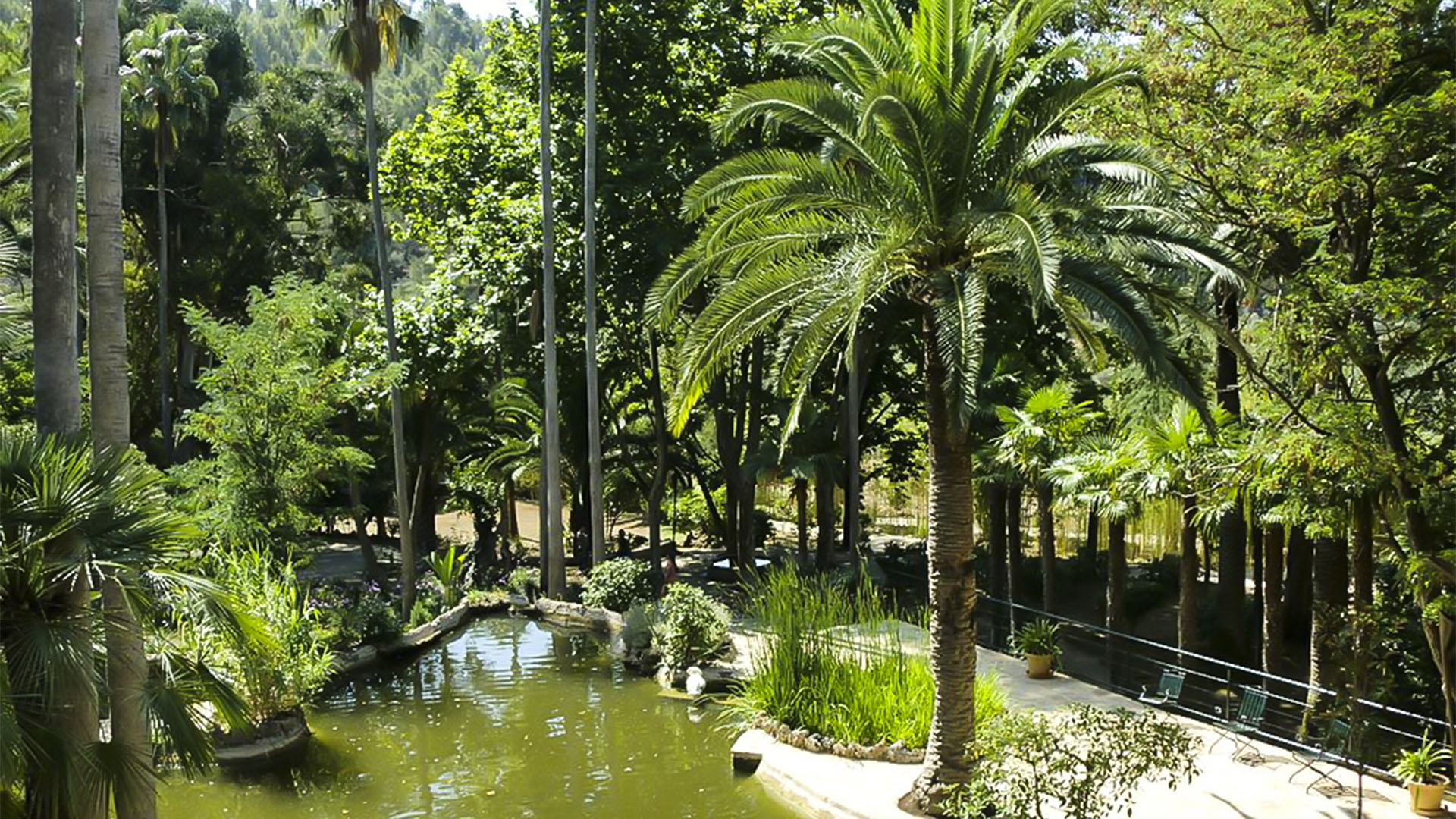 Die Mauren hinterliessen ihre Spuren auf Mallorca. Ein Idyll der Botanischer Garten Jardines de Alfàbia.