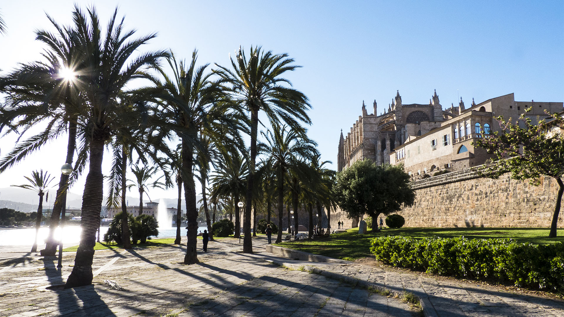 Palma de Mallorca eine geschichtsträchtige, reiche und beeindruckende Stadt.