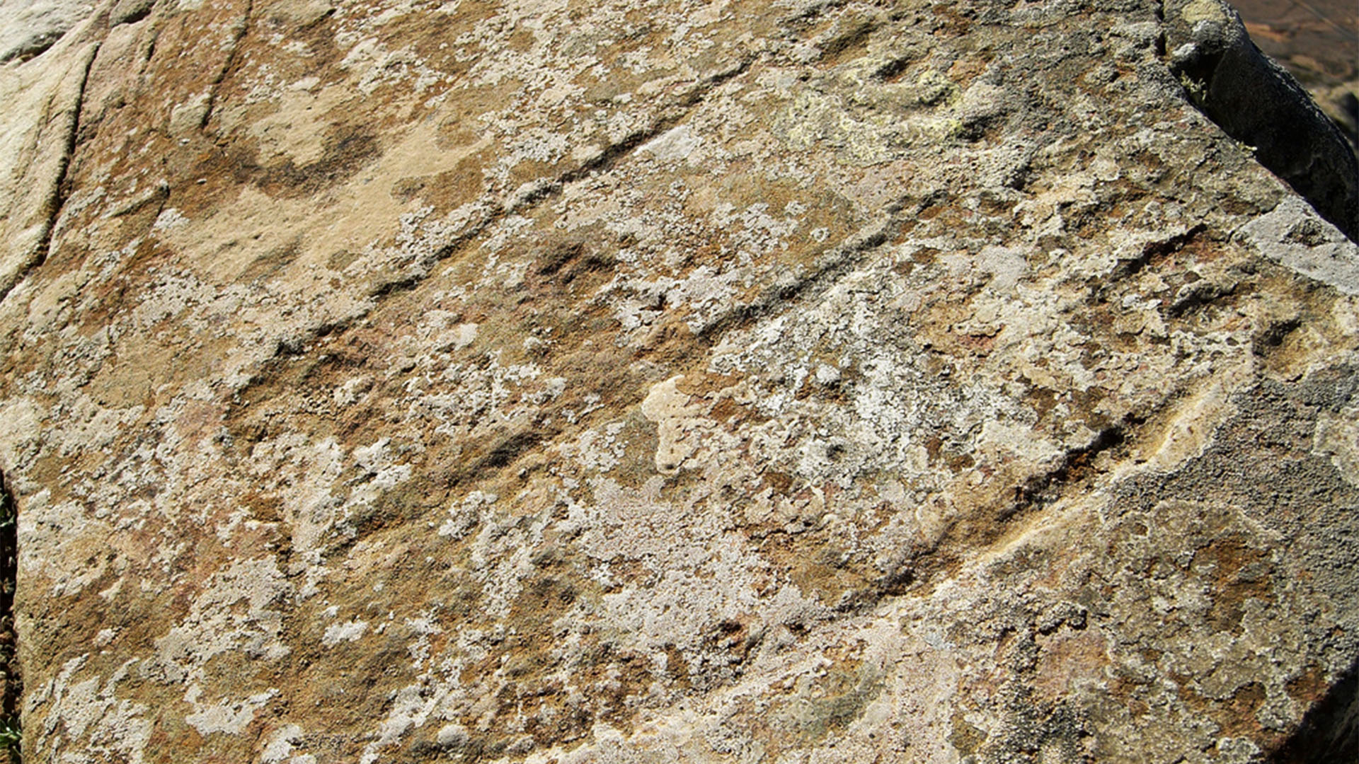 Die Podmorfos am Montaña Tindaya, Fuerteventura.