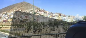 Mit dem Bus unterwegs zum Puerto de las Nieves – entspannt Ausblicke auf das hübsche Städtchen Agaete geniessen.
