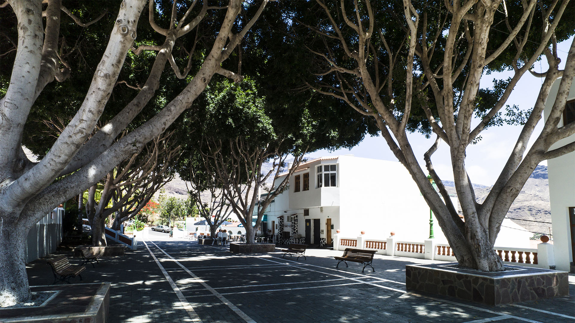 Die Casas de Veneguera – ein kleiner Ort mit schattigem Kirchplatz unter mächtigen, alten Bäumen und eine Tapas Bar.