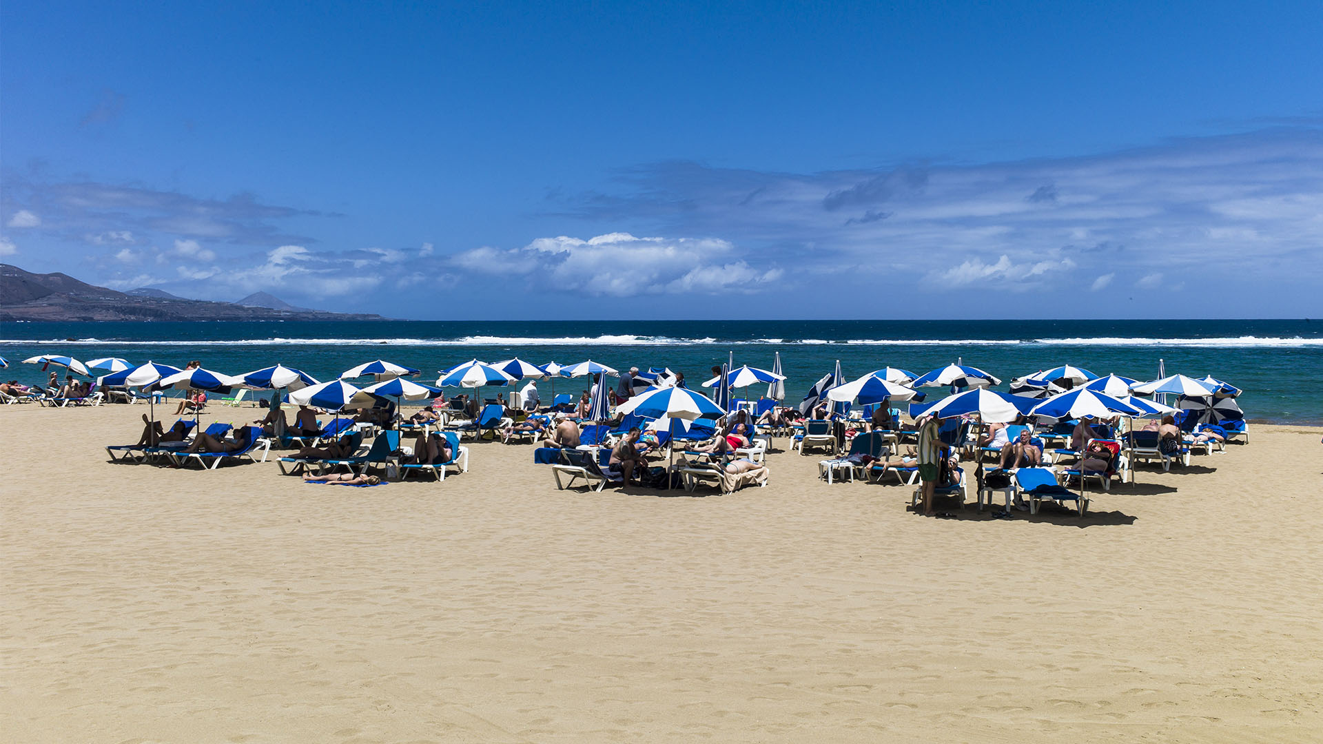 Sonnenschirme und Liegen für Touristen am Playa de las Canteras. Einheimische liegen lieber im Sand am Playa de las Canteras.