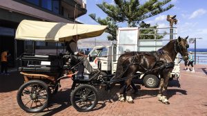 Gemütlich unterwegs wie vor 100 Jahren.