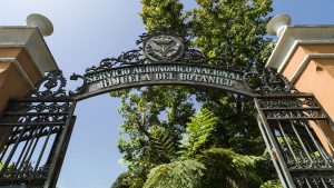 Eine schattige Oase in Orotava ist der herrliche, kleine botanische Garten "Jardines Hijuela del Botánico" aus dem 19. Jh., heute ein kleiner Ableger des grossen "Jardín de aclimatación de La Orotava" in Puerto de la Cruz.