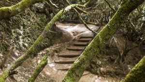 Vom Mercedes Wald führt ein uralter Wasserweg, vorbei am Staudamm Ambalse de Tahodio, hinab nach Barrio de la Alegria. Eine empfehlenswerte Wanderung.