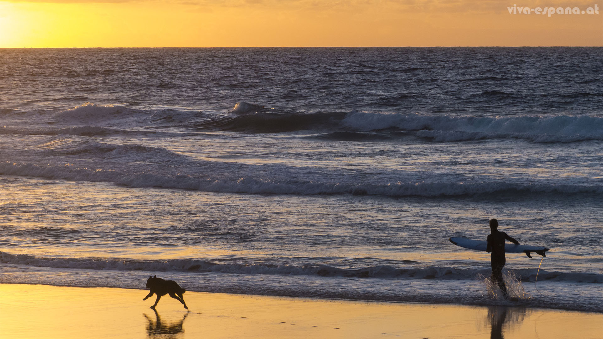 Surfen mit dem besten Freund bei Sonnenuntergang – was ist schöner.