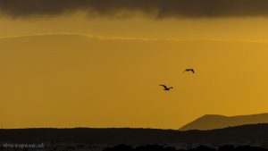 Sonnenaufgang über dem Malpais auf Fuerteventura.