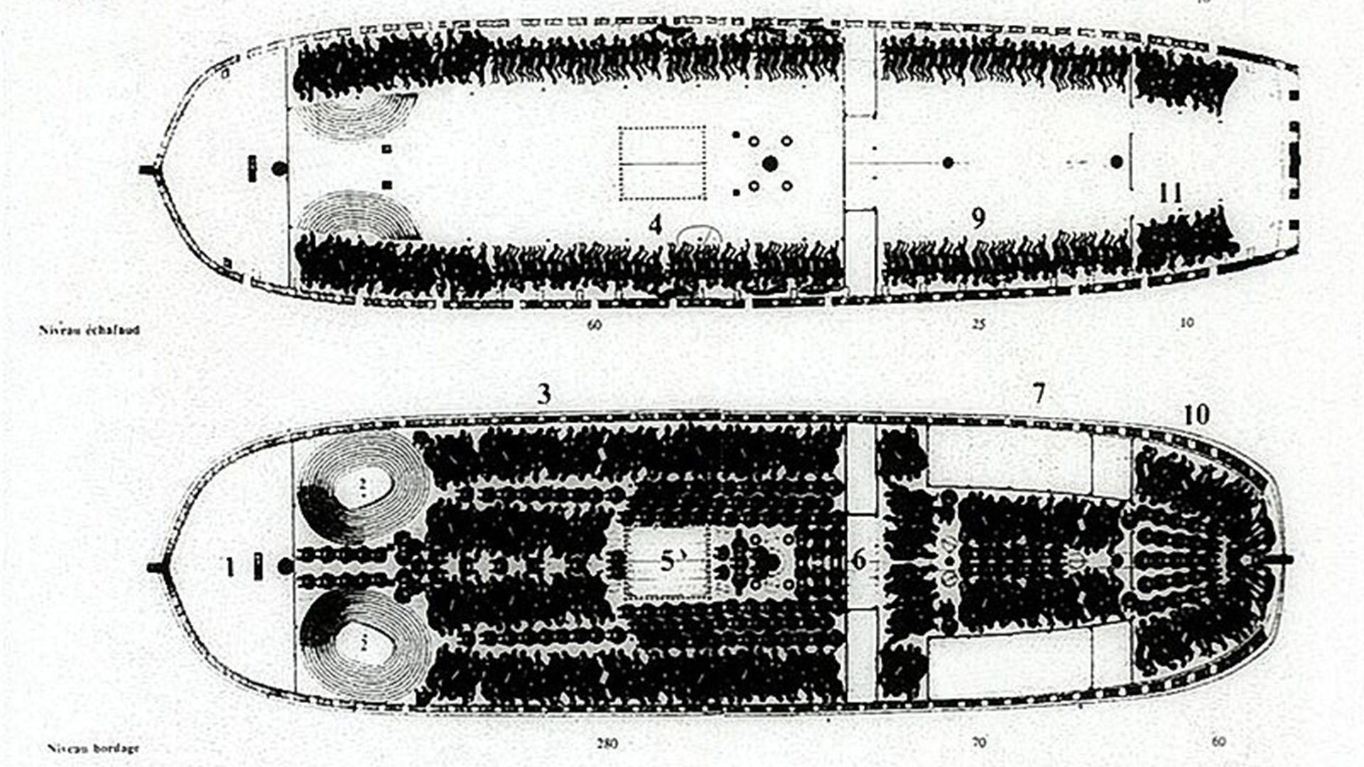 Konstruktionszeichnung der Decks eines zeitgenössischen Sklavenschiffs. Menschen wurden wie Ware gestapelt. Es wurde mit "50% Verlust" beim Transport kalkuliert. (© gemeinfrei)