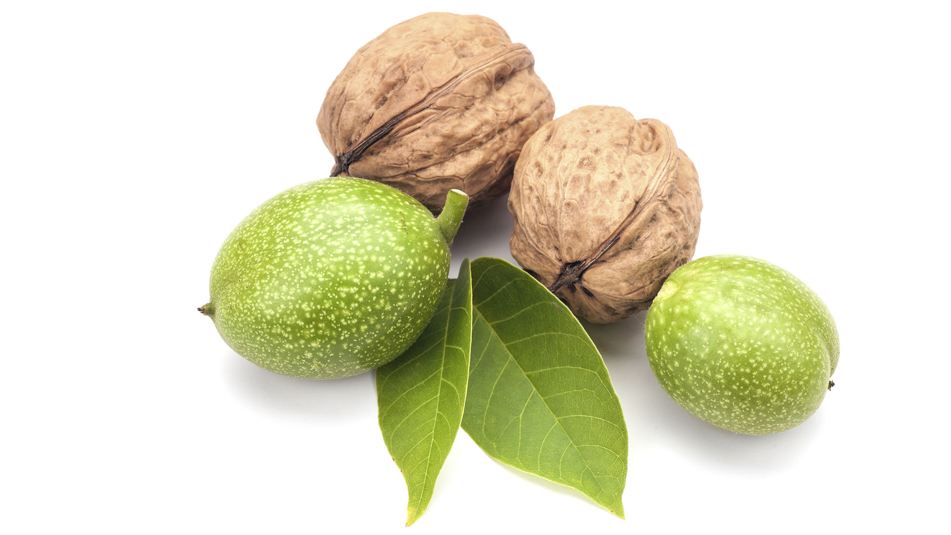 Der edle Klassiker: Licor de nueces de San Juan. In der Johannesnacht werden die grünen Wallnüsse angesetzt und zu Weihnachten der gereifte Likör genossen. (© istock)