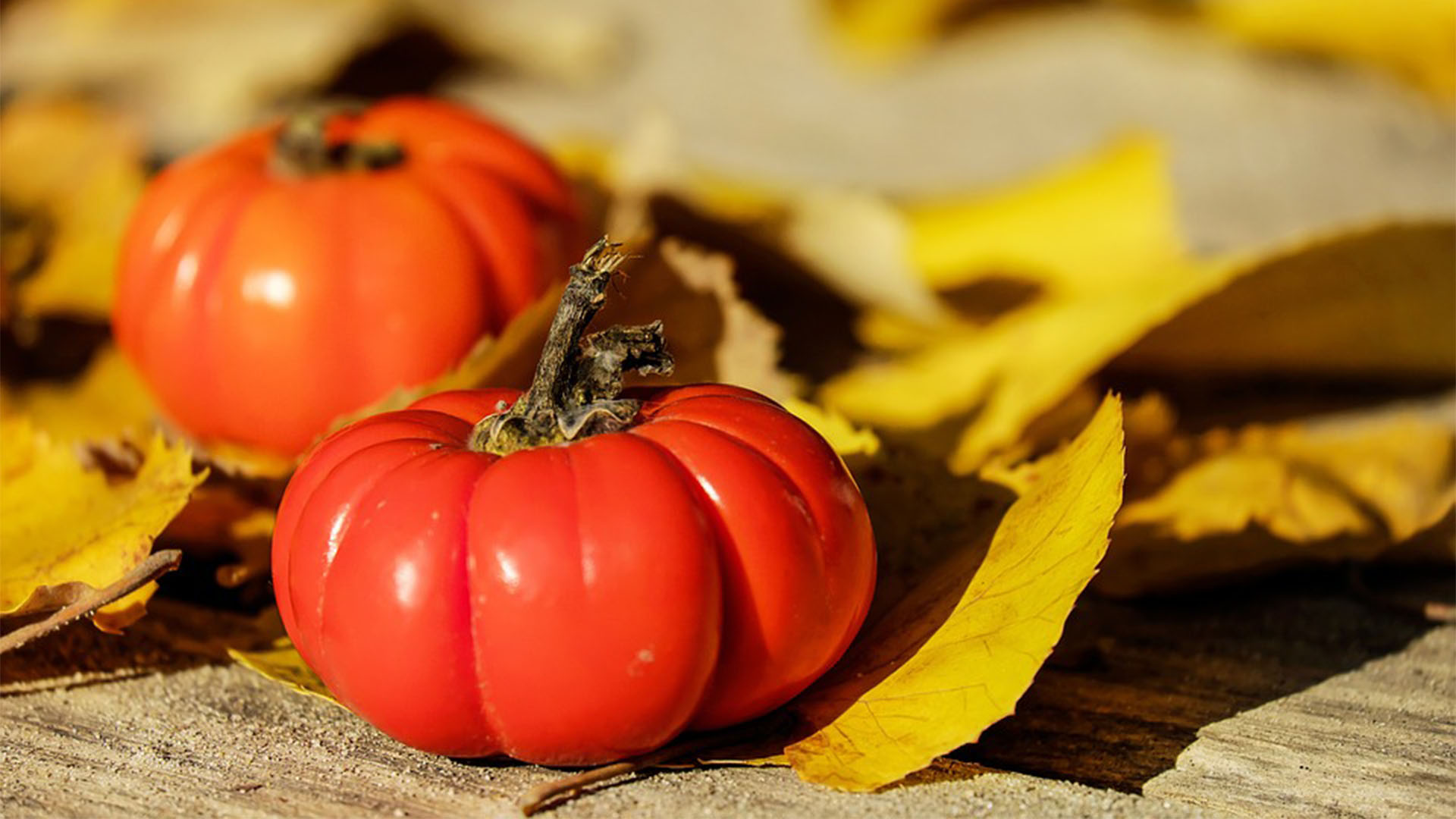 Derzeit existieren rund 3.200 Tomatenraten, darunter auch die Fleischtomate – (© CC0).