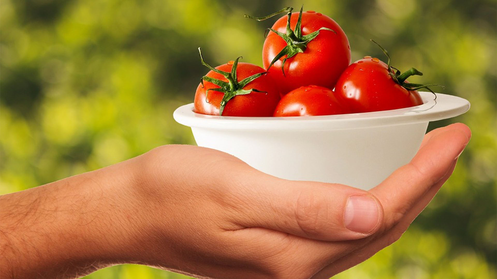 Die Schüssel Tomate bei den Azteken ein Willkommensgruss – (© CC0).