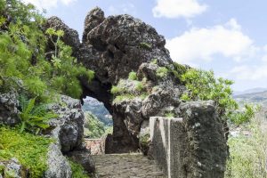 Botanischer Garten auf Gran Canaria bei Las Palmas – Jardín Botánico Canario Viera y Clavijo.