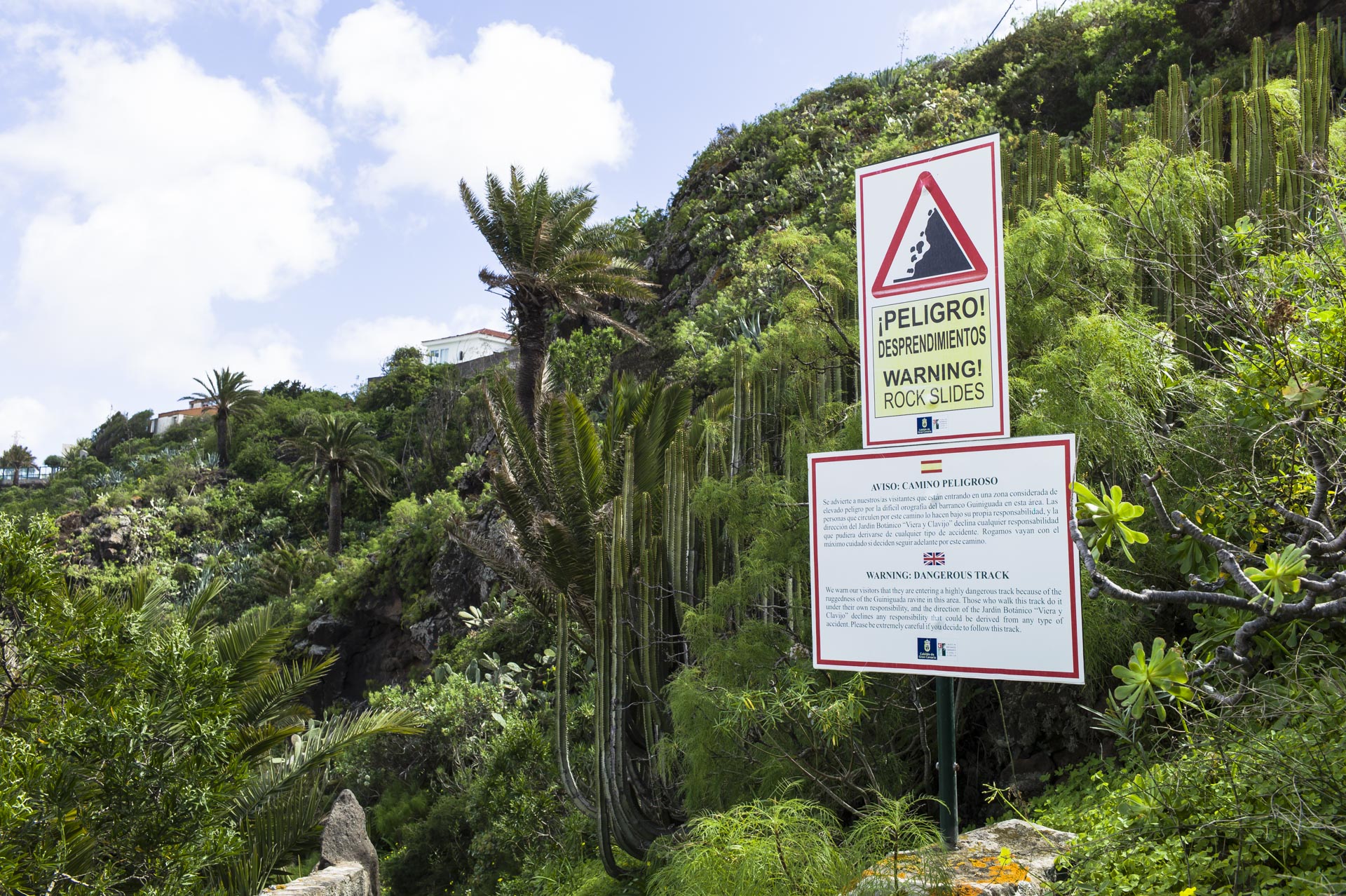 Botanischer Garten auf Gran Canaria bei Las Palmas – Jardín Botánico Canario Viera y Clavijo.