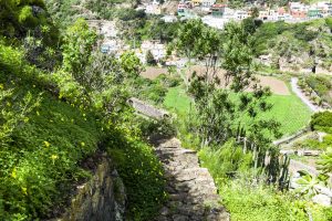 Botanischer Garten auf Gran Canaria bei Las Palmas – Jardín Botánico Canario Viera y Clavijo.