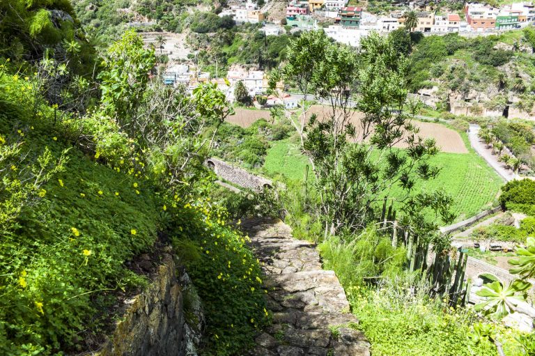 Botanischer Garten Auf Gran Canaria Bei Las Palmas Jardín ¡Viva España!