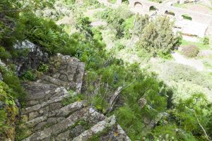 Botanischer Garten auf Gran Canaria bei Las Palmas – Jardín Botánico Canario Viera y Clavijo.