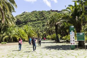 Botanischer Garten auf Gran Canaria bei Las Palmas – Jardín Botánico Canario Viera y Clavijo.