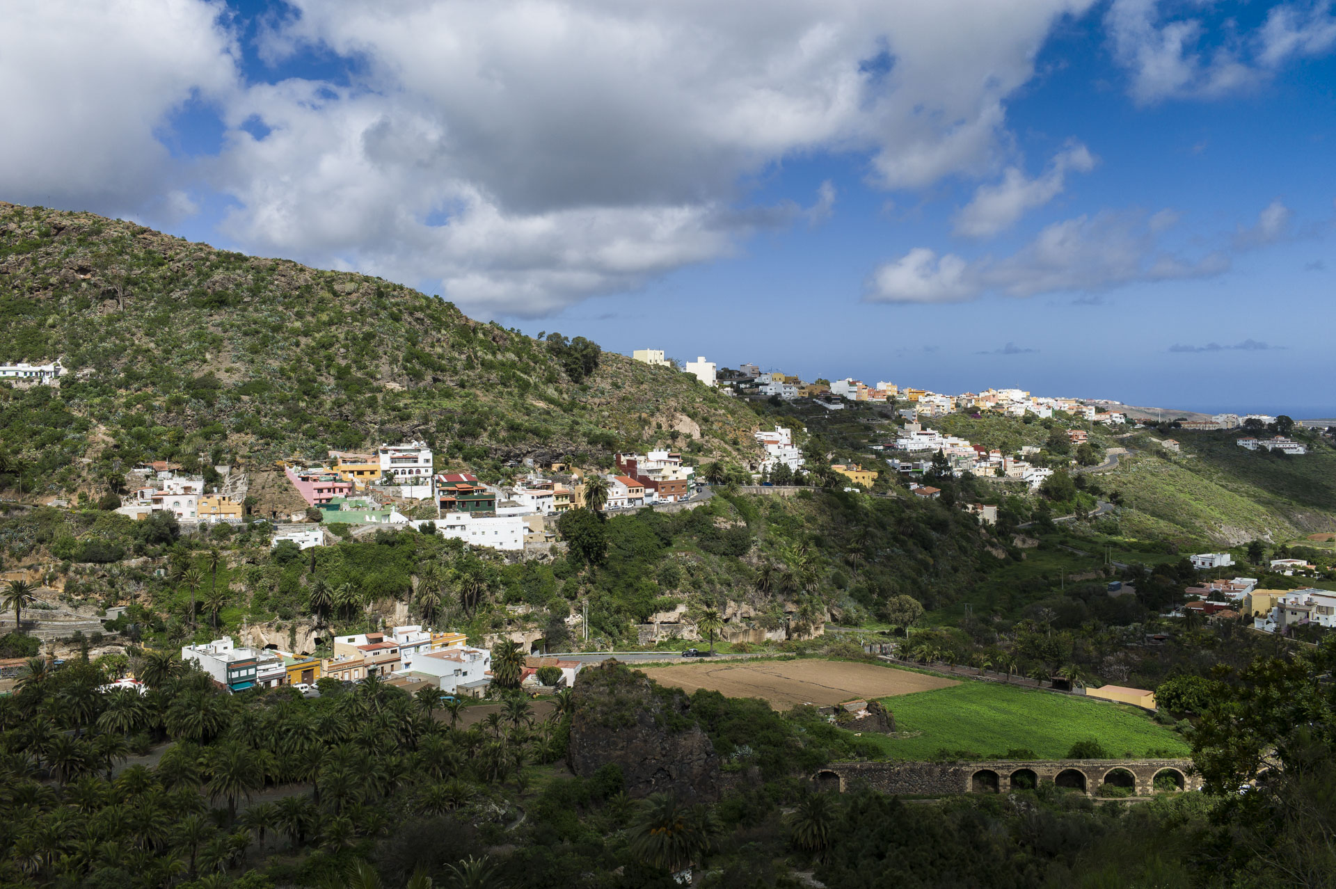 Botanischer Garten auf Gran Canaria bei Las Palmas – Jardín Botánico Canario Viera y Clavijo.