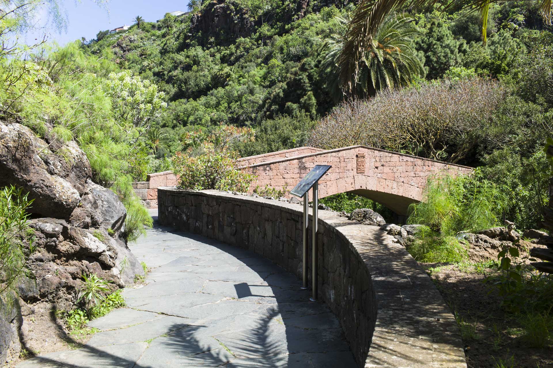 Botanischer Garten auf Gran Canaria bei Las Palmas – Jardín Botánico Canario Viera y Clavijo.