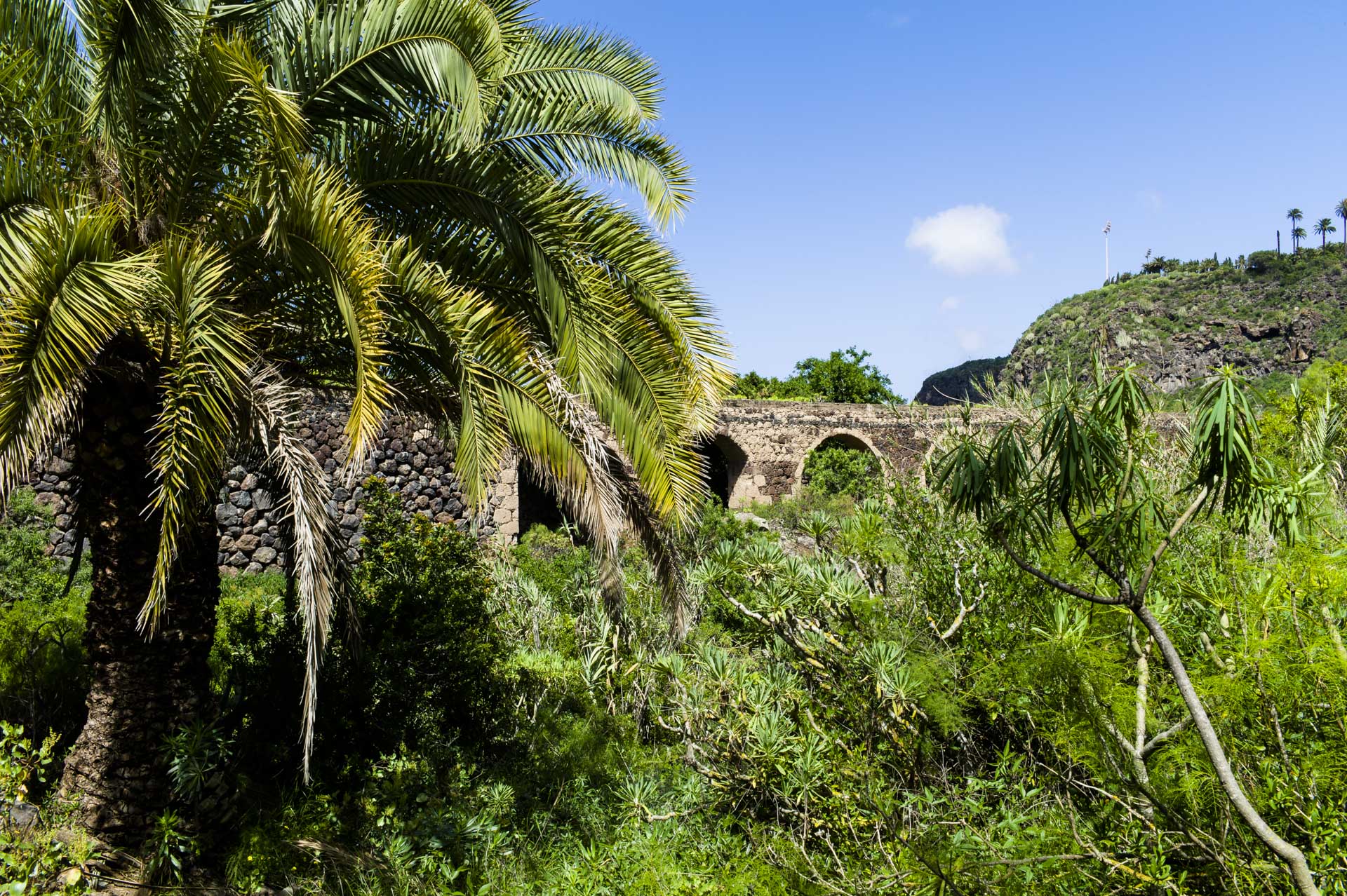 Botanischer Garten auf Gran Canaria bei Las Palmas – Jardín Botánico Canario Viera y Clavijo.