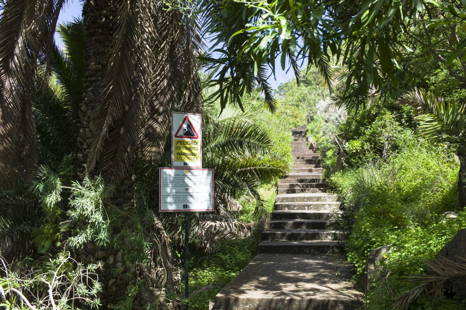 Jardín Canario auf Gran Canaria einer der schönsten botanischen