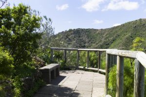 Botanischer Garten auf Gran Canaria bei Las Palmas – Jardín Botánico Canario Viera y Clavijo.