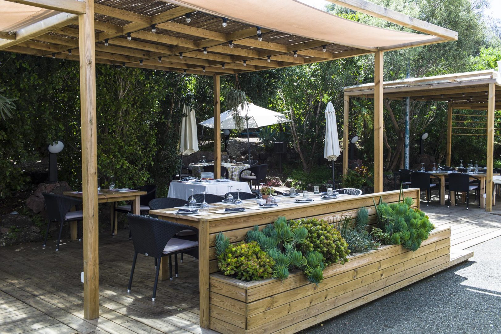 c jardin canario gran canaria 46 1623x1080