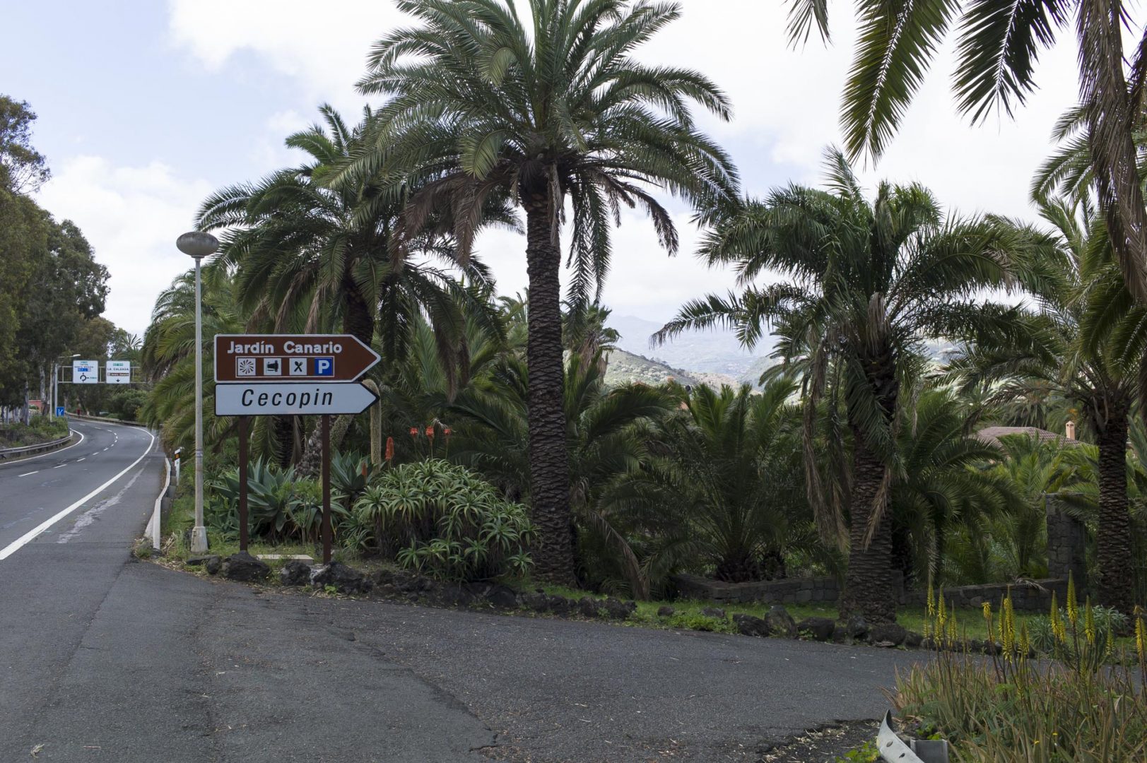 Botanischer Garten Auf Gran Canaria Bei Las Palmas Jardín ¡Viva España!