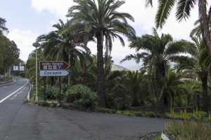 Botanischer Garten auf Gran Canaria bei Las Palmas – Jardín Botánico Canario Viera y Clavijo. Entrada superior Tafira Alta.