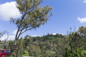 Botanischer Garten auf Gran Canaria bei Las Palmas – Jardín Botánico Canario Viera y Clavijo. Entrada inferior Dragonal Bajo.