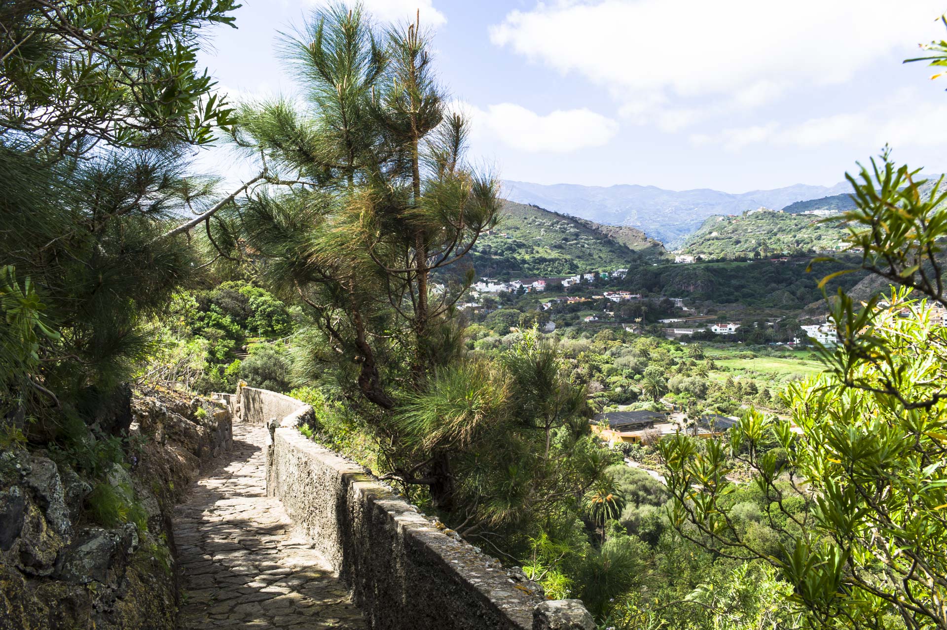 Botanischer Garten auf Gran Canaria bei Las Palmas – Jardín Botánico Canario Viera y Clavijo.