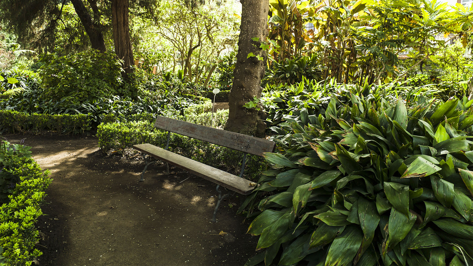 Der "Jardín de aclimatación" in Orotava auf Teneriffa.