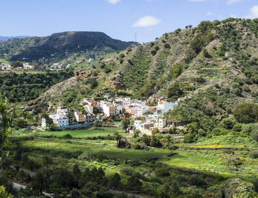 Botanischer Garten auf Gran Canaria bei Las Palmas – Jardín Botánico Canario Viera y Clavijo.