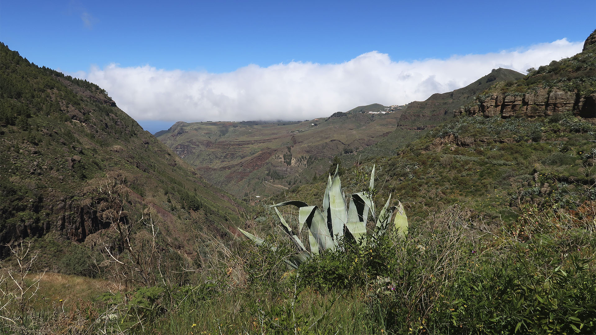 Das enge Tal öffnet sich – gegen Mittag ist oft das Wetterphänomen "Panza del Burro", der Eselsbauch, zu sehen.