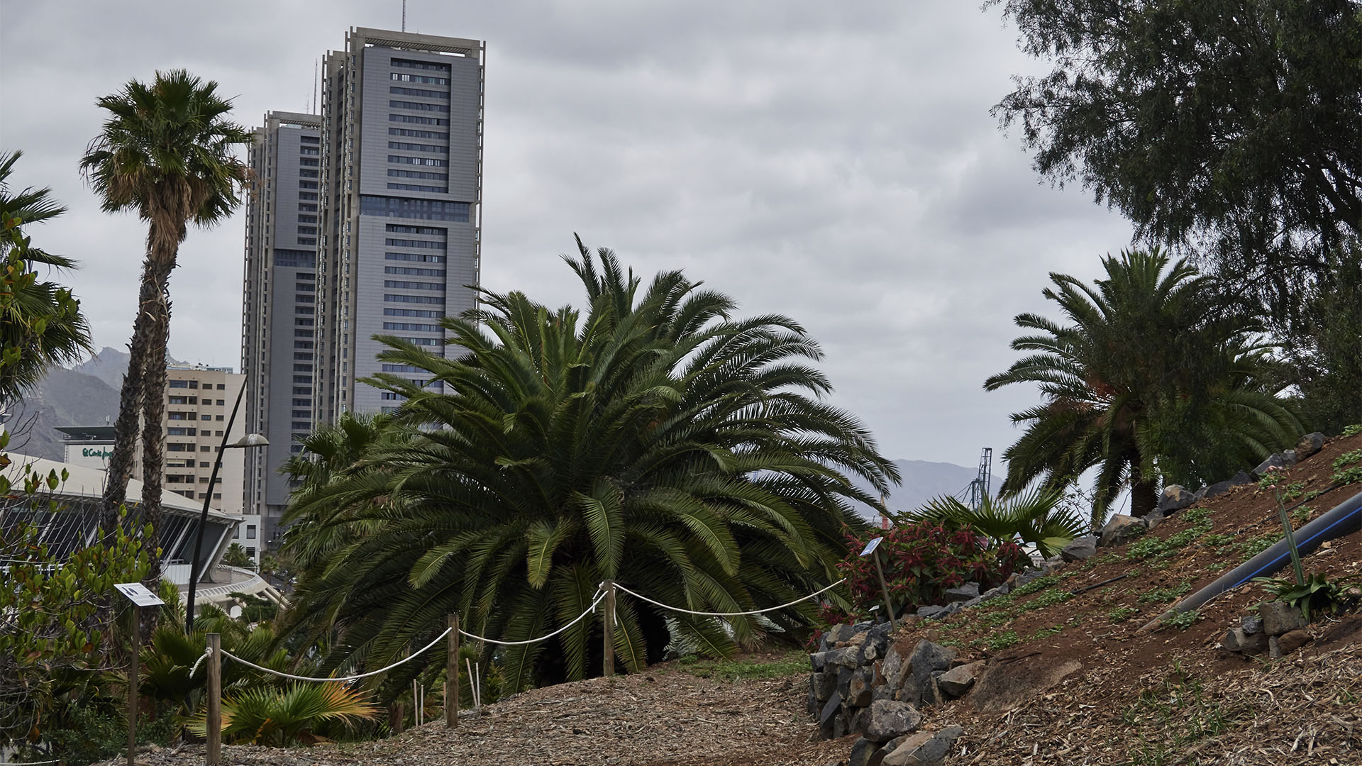 Palmetum Santa Cruz de Tenerife.