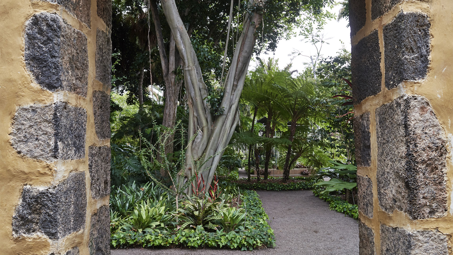 Jardín de aclimatacatíon La Orotava Tenrife.