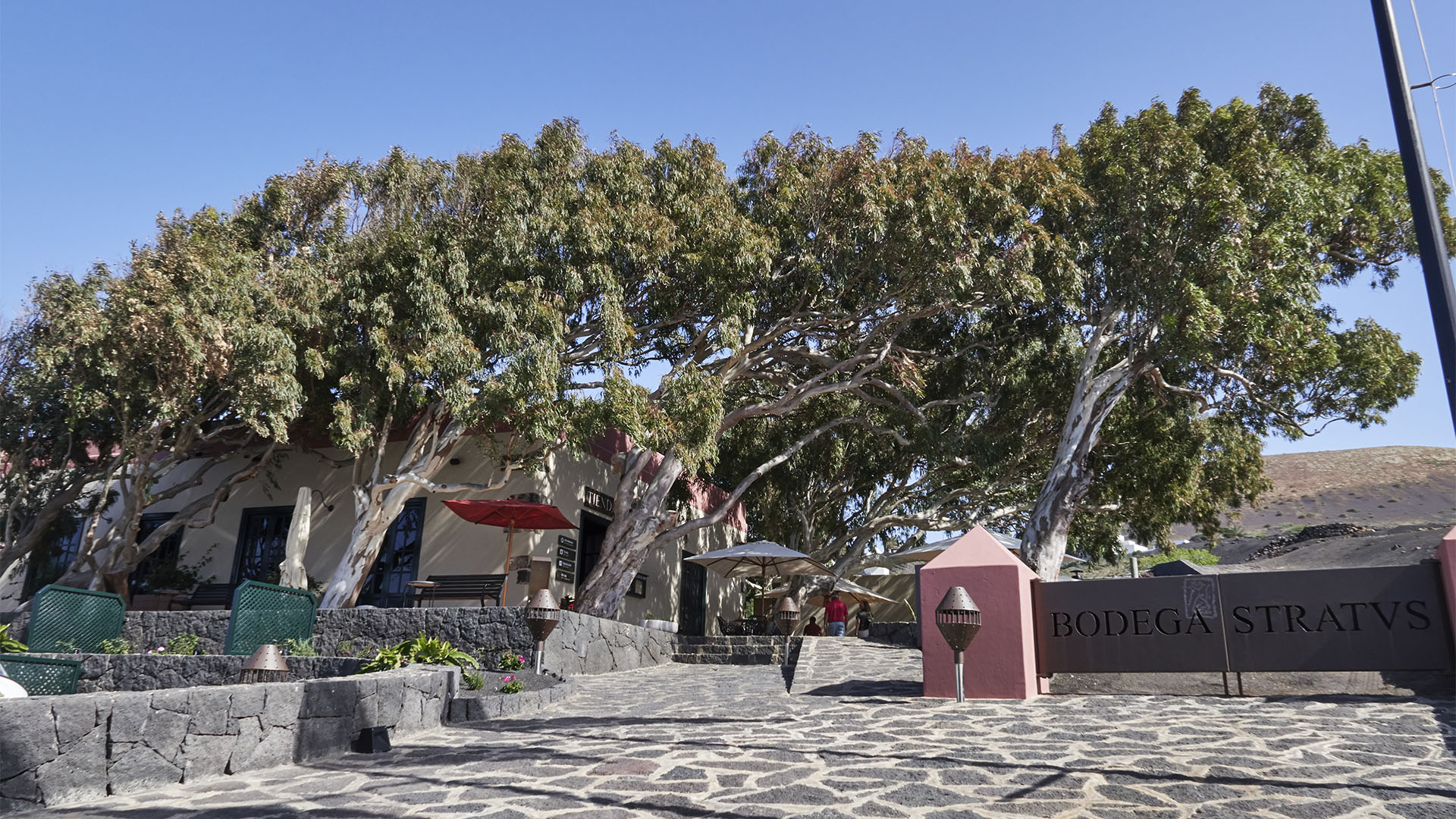 Bodega Stratvs Lanzarote.