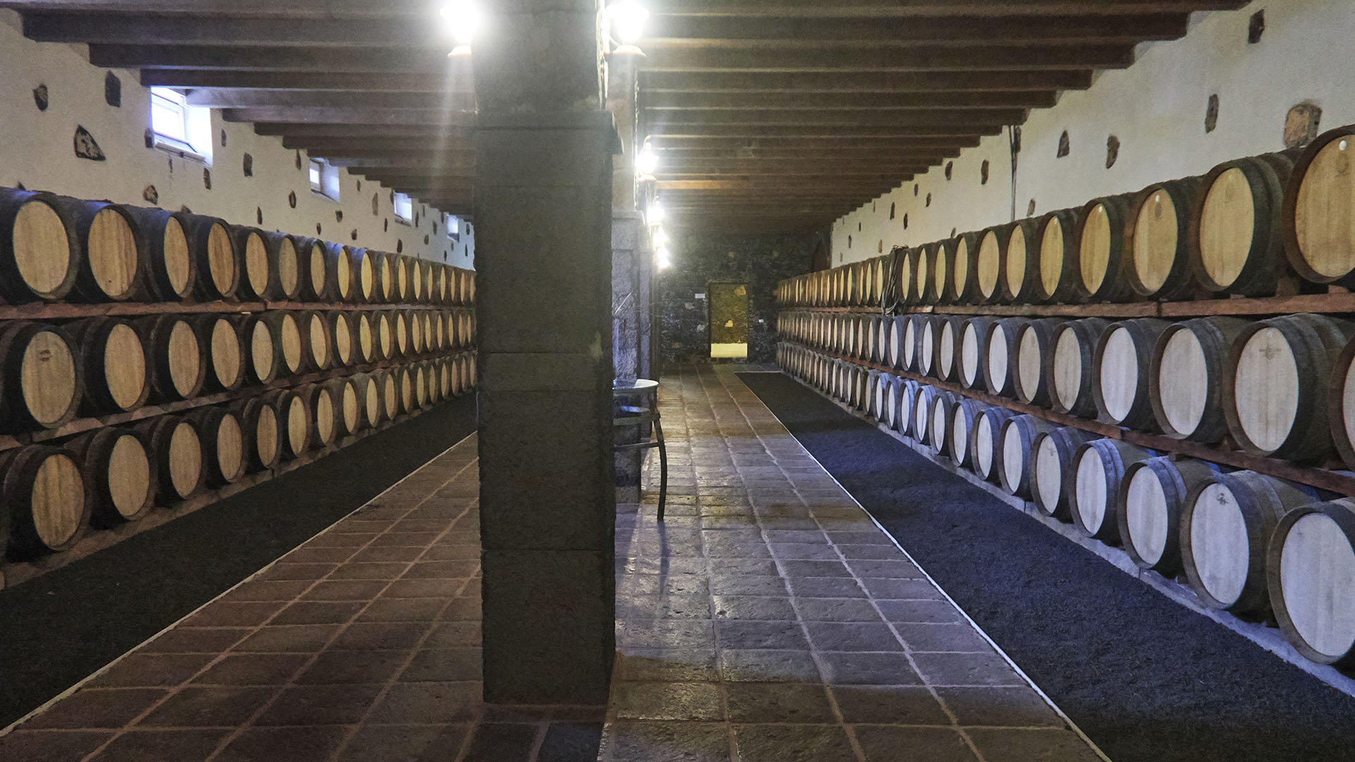 Bodegas Rubicón Lanzarote.