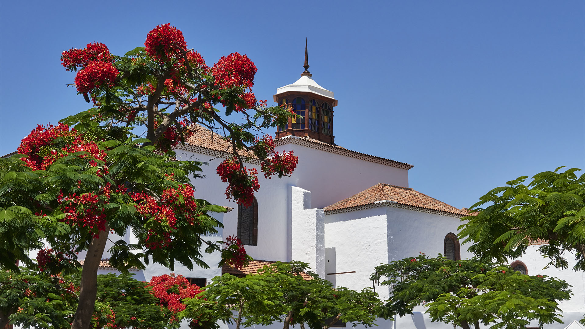Santa Cruz de Tenerife – Nuestra Señora de la Concepción.