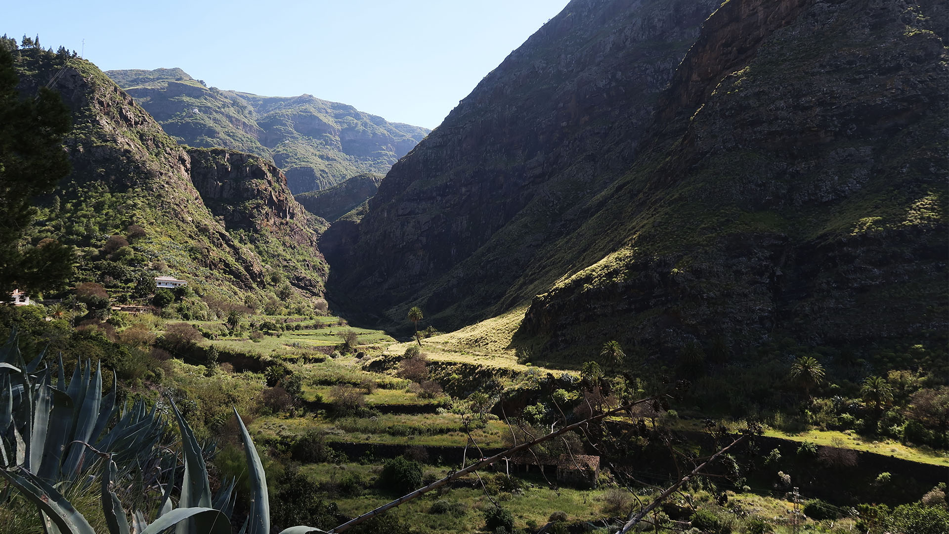 Das Tal von Agaete Gran Canaria.