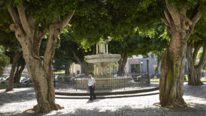 Park an der Iglesia Convento de Santa Catalina de Siena San Cristóbal de La Laguna Teneriffa.