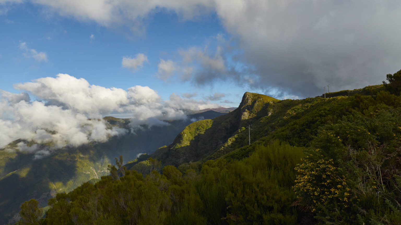 Die Hochebene Paul da Serra auf der Insel Madeira.