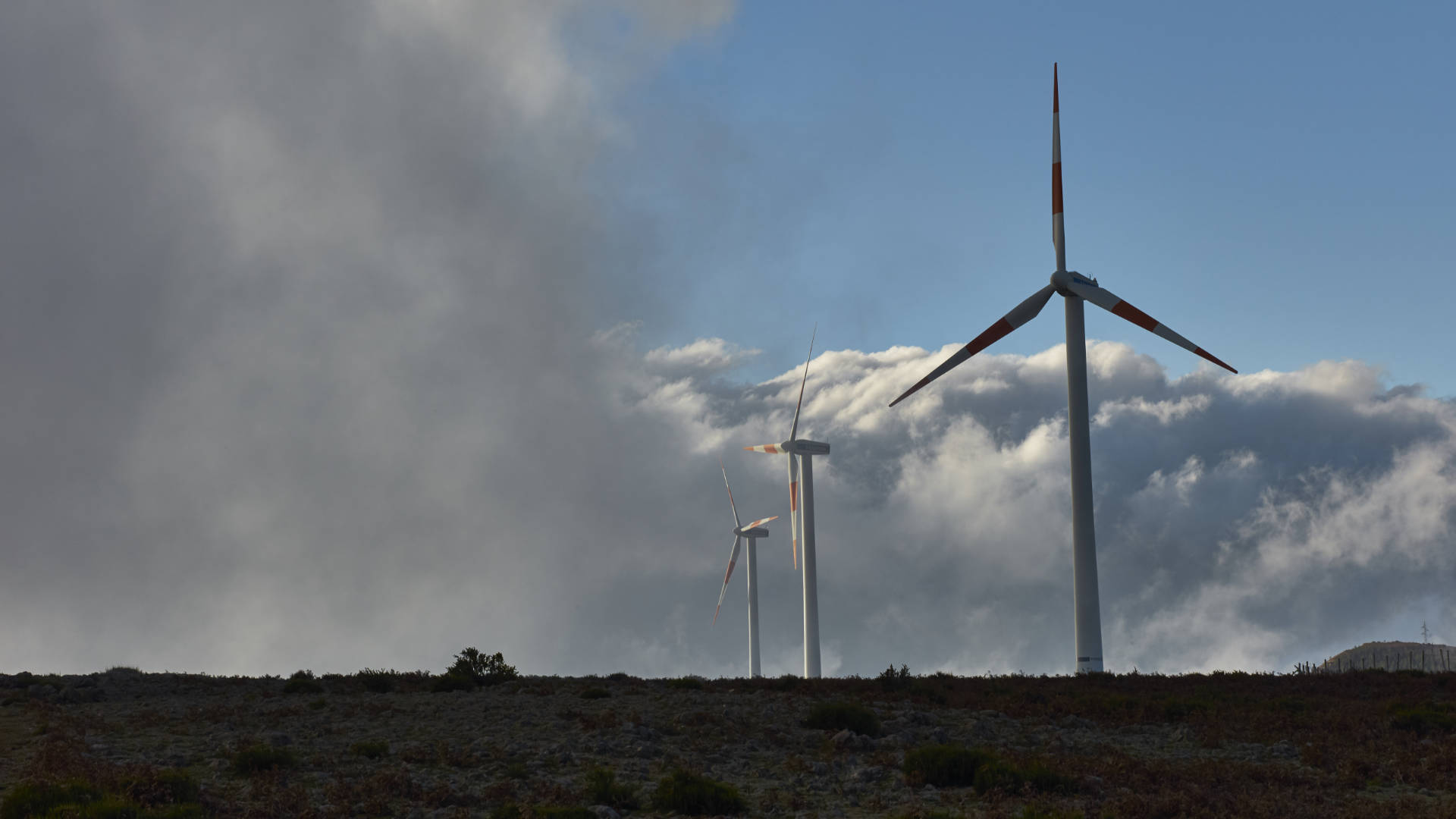 Die Windkraftanlagen auf der Hochebene Paul da Serra Madeira.