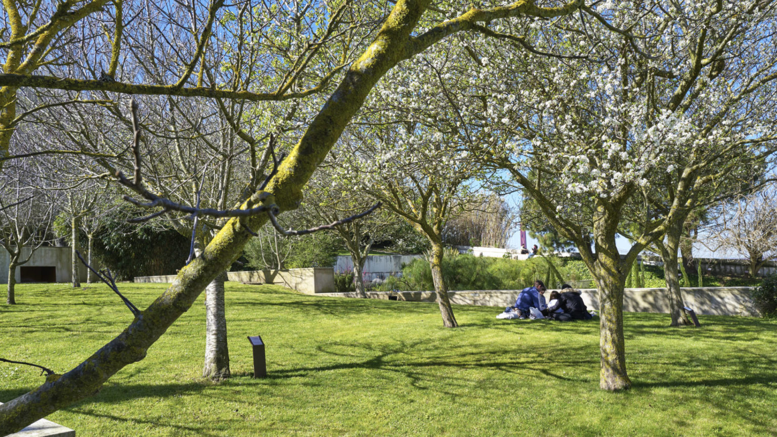 Der Jardim Botânico der Casa da Cerca in Almada.