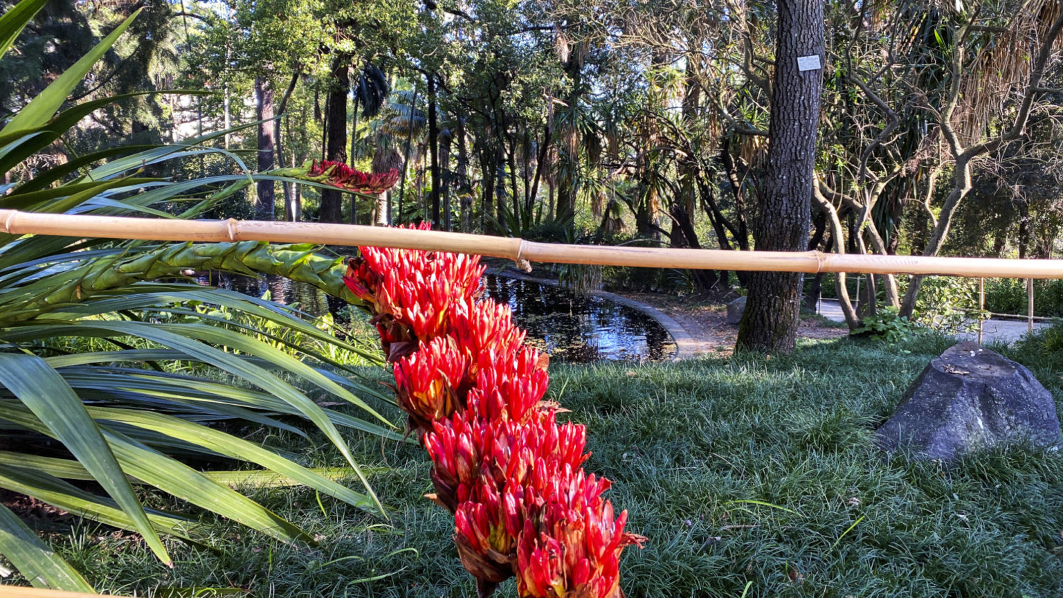 Jardim Botânico de Lisboa.